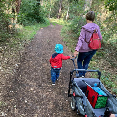 Ausflug in den Wald Ausflug in den Wald