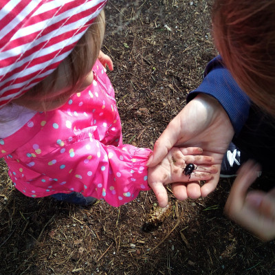 Wir erkunden die Tierwelt Wir erkunden die Tierwelt