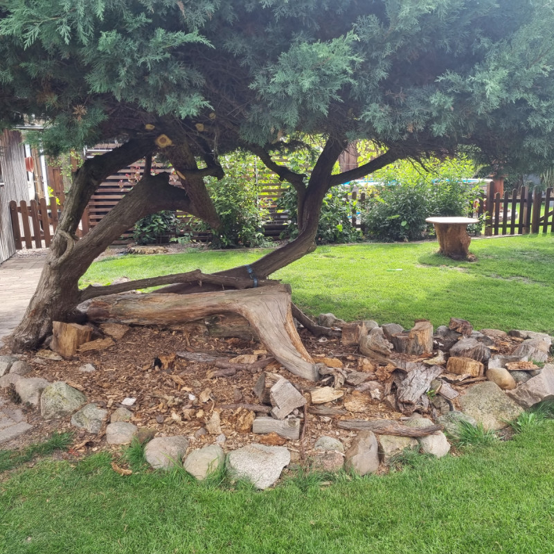 Kletterbaum Kletterbaum