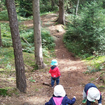 Ausflug in den Wald Ausflug in den Wald
