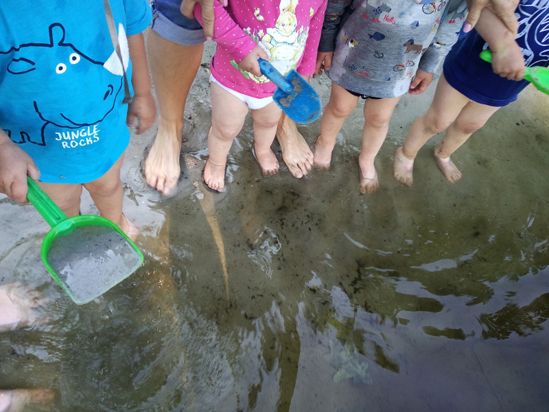 Foto vom Ausflug zum See Foto vom Ausflug zum See